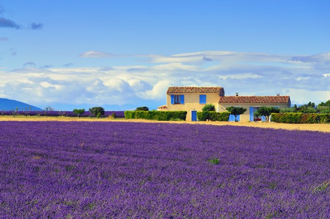 Provence